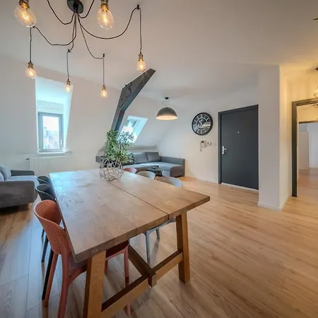 Apartamento Le Grand Franklin Great Place For 8 People Mulhouse