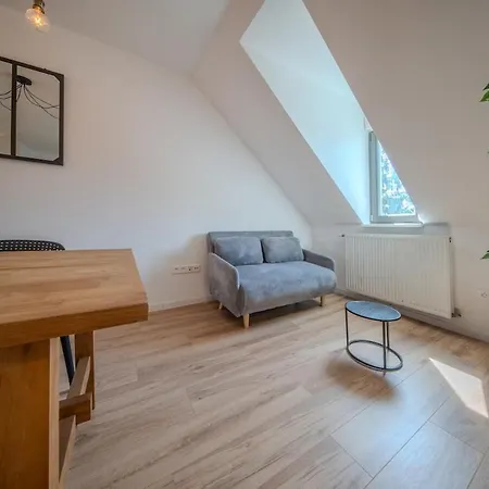 Le Grand Franklin Great Place For 8 People Mulhouse