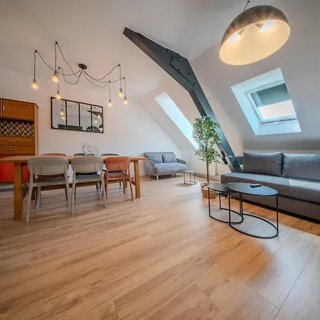 Apartamento Le Grand Franklin Great Place For 8 People Mulhouse