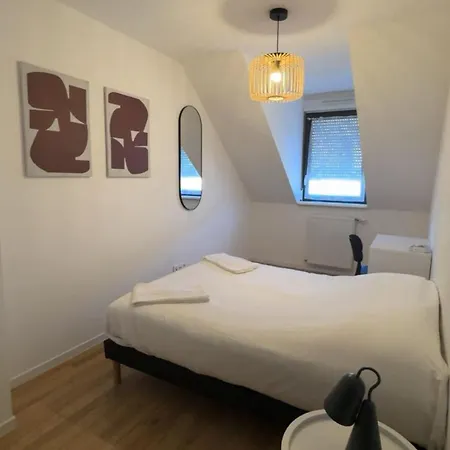 Apartamento Le Grand Franklin Great Place For 8 People Mulhouse
